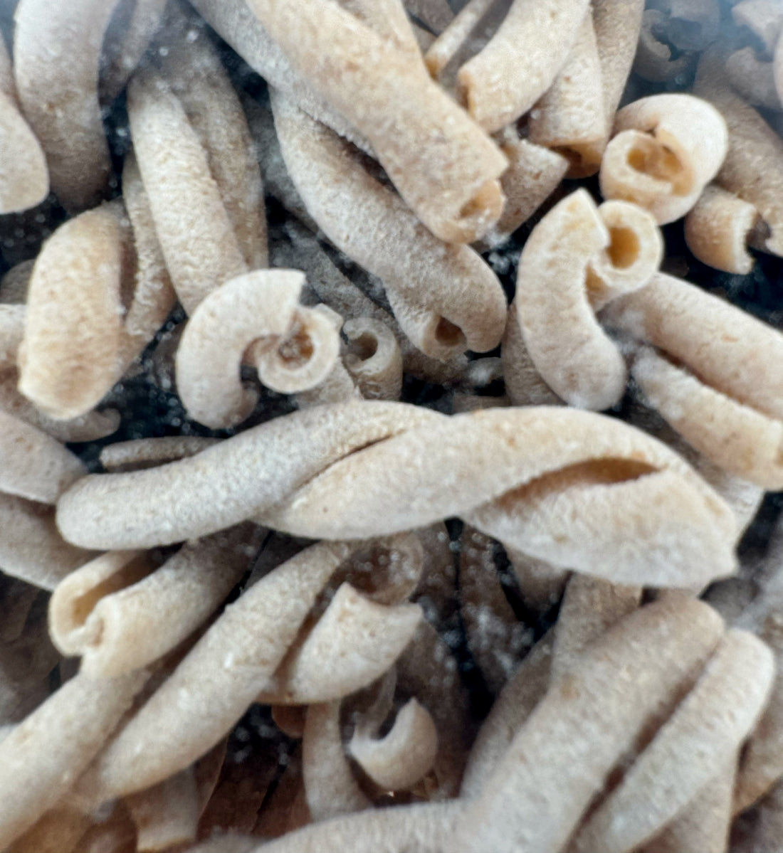 Primo piano della Pasta Senatore Cappelli Le Casarecce