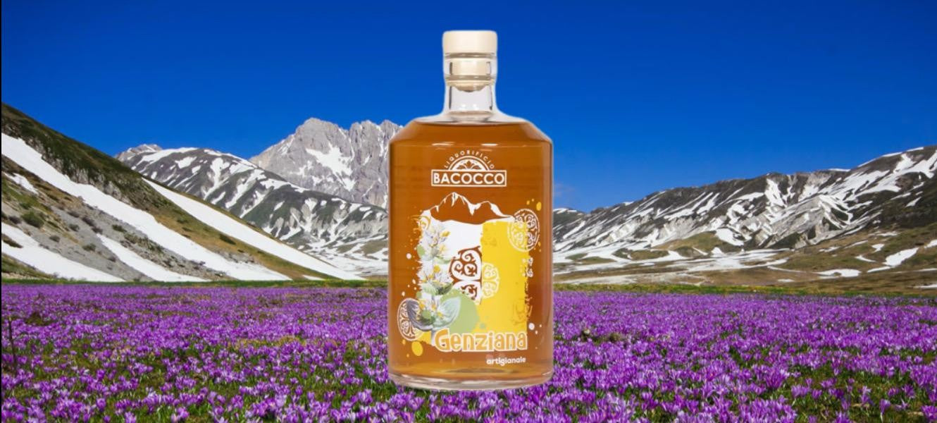 La genziana abruzzese