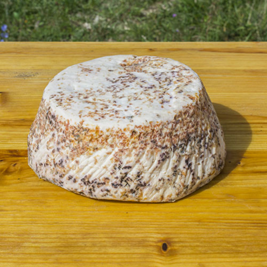 Ricotta Salata Stagionata – Sapidità e Tradizione Abruzzese